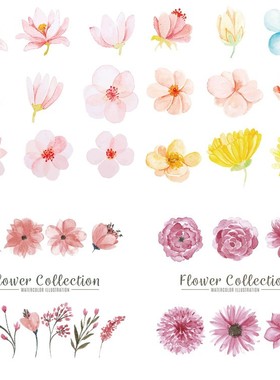 A0544水彩手绘花卉可爱唯美鲜花植物花朵水墨EPS设计素材AI矢量图