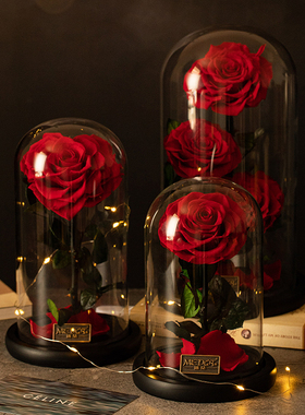 永生花玻璃罩小王子红玫瑰花求婚纪念节日送女朋友生日母亲节礼物