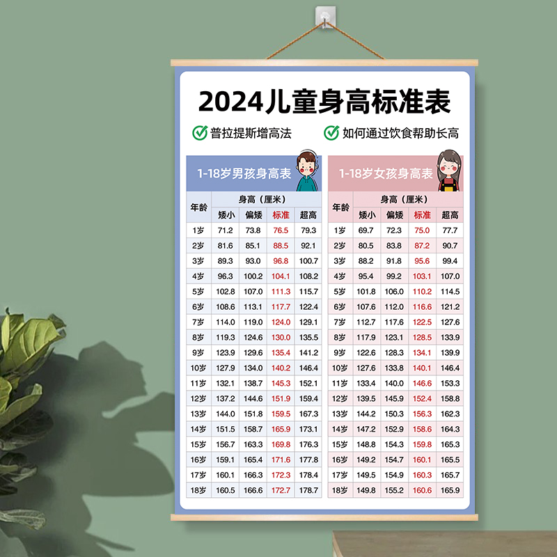 2024儿童标准体重身高对照表海报挂图1-18岁身高体重膳食宝塔挂画