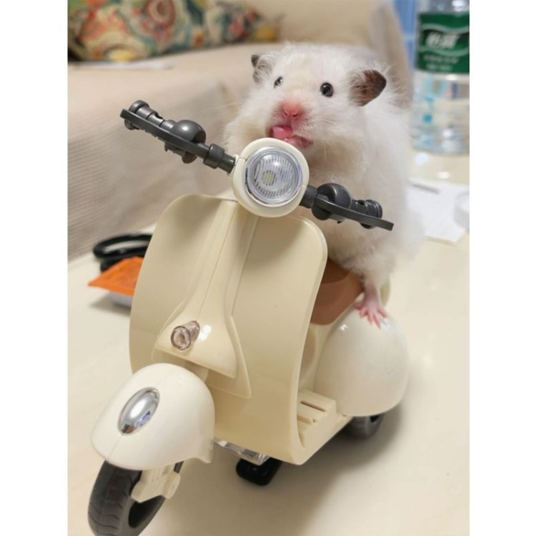 猪猪侠捏捏乐ggbond爆骑特技摩托车儿童电动玩具网红男孩女孩正版