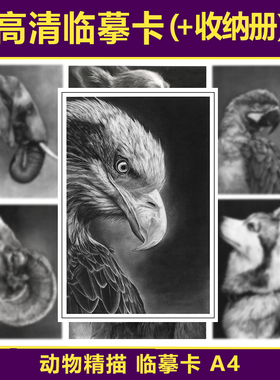 动物素描临摹卡范画少儿美术创意艺高考高清素材超写实精微图稿A4