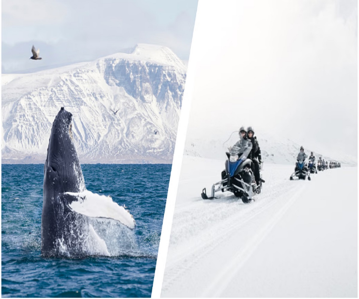冰岛旅游朗格冰川雪地摩托车雷克雅未克出海观鲸自驾北欧旅游
