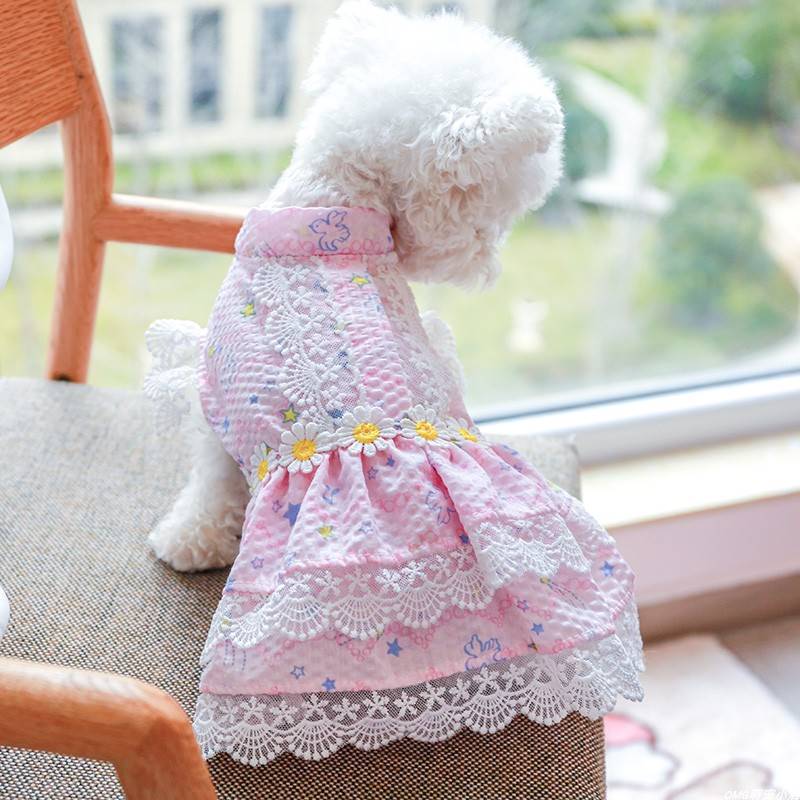 狗狗衣服宠物猫咪泰迪蕾丝碎花春夏薄款连衣裙花朵淑女小型犬裙子