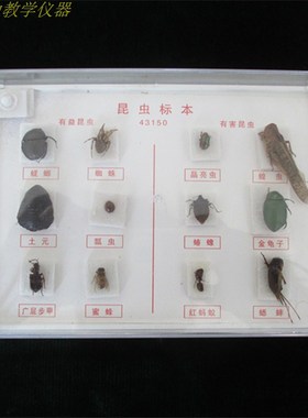 昆虫标本盒常见益虫害虫各6种小学自然科学观察生物教学仪器