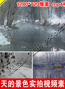 冬季冬天的景色 实拍视频背景素材 LED高清视频冬季雪景下雪实拍