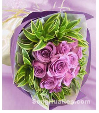 11枝紫玫瑰惠州鲜花速递淡水陈江博罗大亚湾澳头西区鲜花店