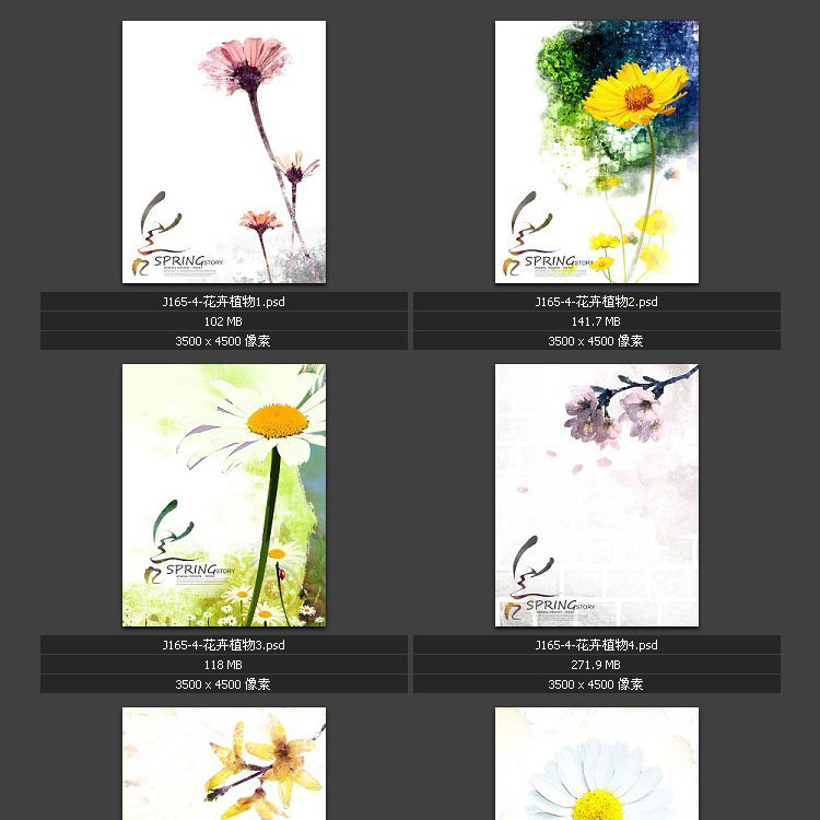 花卉植物 花纹花朵PSD分层素材图片 广告海报设计素材模板图库