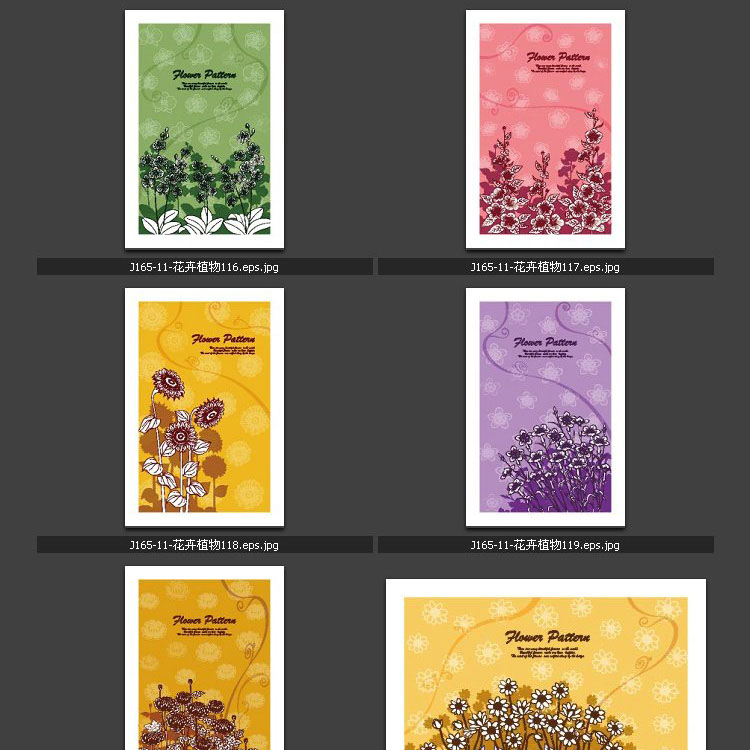 欧美花纹素材图库 花卉植物底纹图片 广告设计矢量高清素材图库