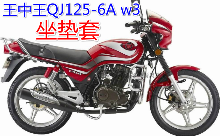 适用钱江王中王QJ125-6A摩托车坐垫套防晒防水皮革网状座套座包套