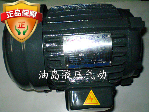 液压站 液压系统 内轴式油压电机 电机 油泵电机0.75KW 1HP