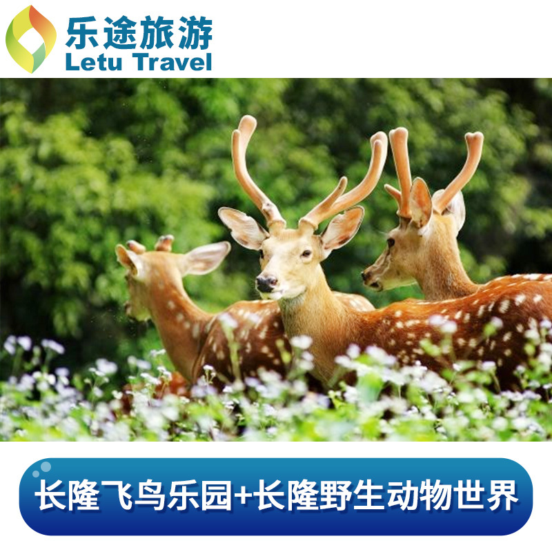 [双园游]广州长隆野生动物世界+长隆飞鸟乐园 两园两日套票