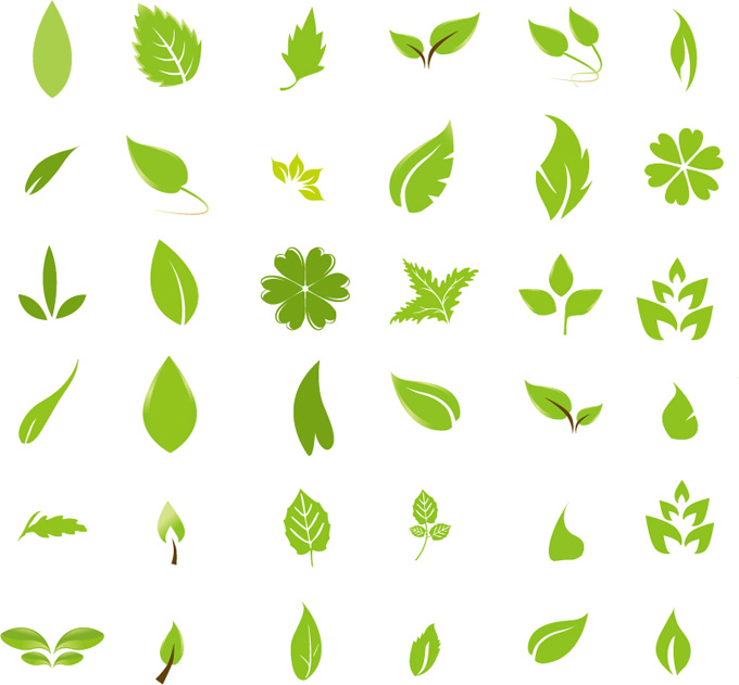 各种树叶 多款绿色树叶形状 不同植物的叶子 AI格式矢量设计素材