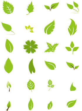 各种树叶 多款绿色树叶形状 不同植物的叶子 AI格式矢量设计素材