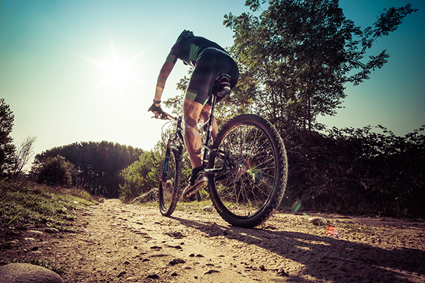 山地越野自行车骑行户外运动健身单车海报制作客厅装饰贴画G3632C