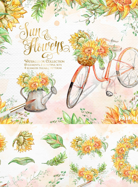 (B538)水彩手绘黄色向日葵花朵叶子自行车PS背景LOGO美化设计素材