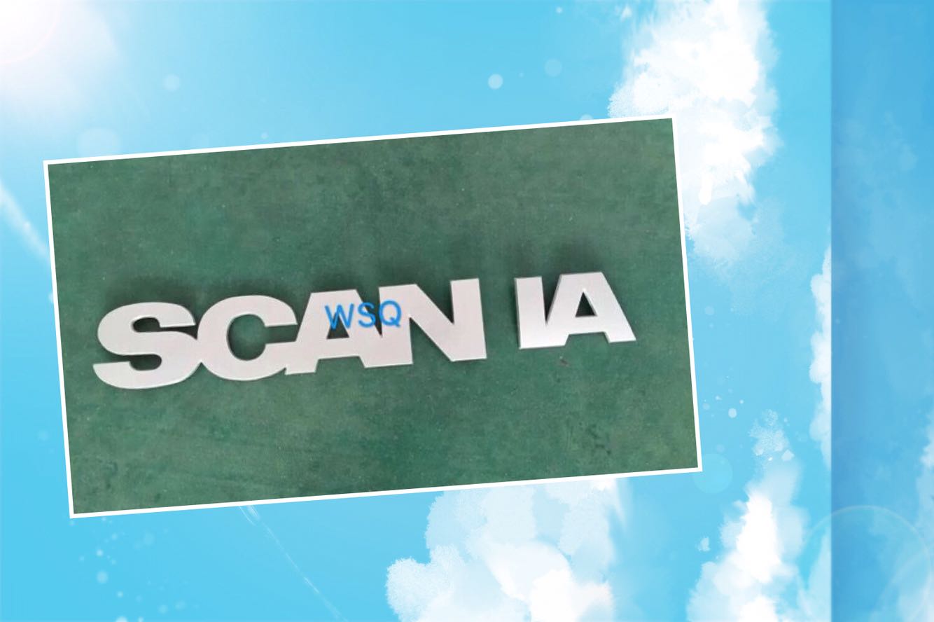 Scania字牌配件 斯堪尼亚面板标志配件