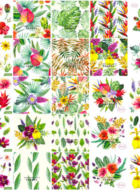 矢量设计素材 25张水彩热带植物插画四方连续纹样红掌龙舌兰花EPS