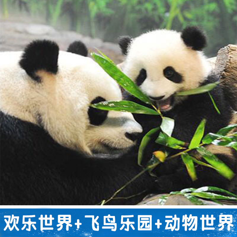 广州长隆欢乐世界+长隆飞鸟乐园+长隆野生动物园2日门票