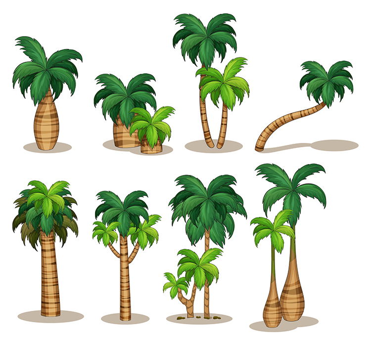 卡通椰子树AI矢量素材 8款可爱卡通不同形状的椰树素材 设计素材