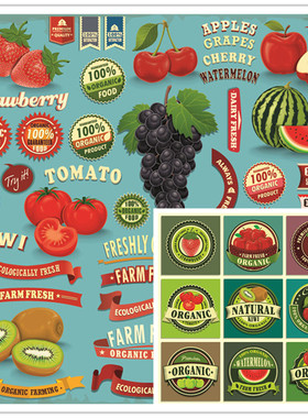 A1699矢量欧美复古水果标签LOGO海报模板西瓜草莓葡萄 AI设计素材