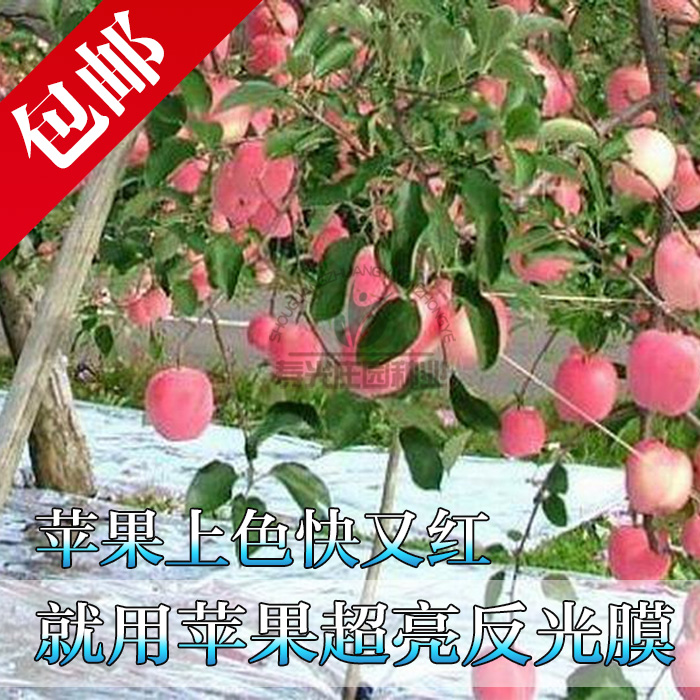 农用果树反光膜果园苹果地葡萄专用反光上色双面增色大棚增温地膜