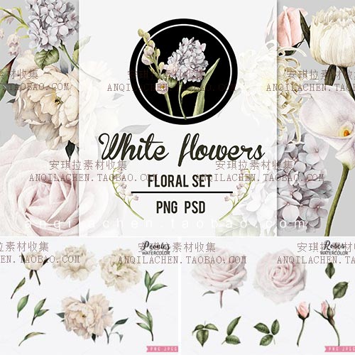 水彩唯美淡雅白色玫瑰花朵婚礼请柬邀请卡片psd+PNG设计素材