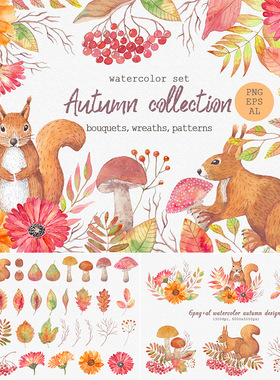 手绘水彩秋天枫叶花卉松鼠儿童插画印刷图案矢量+png免抠设计素材