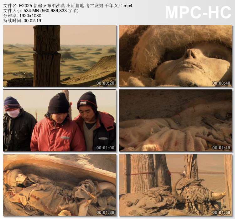 新疆罗布泊沙漠小河墓地考古发掘 千年女尸 高清视频实拍素材