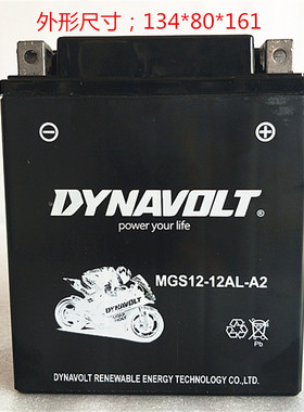 摩托车电瓶YB12v12AL-A2标致200BMW宝马F650GS单缸猛狮胶体蓄电池