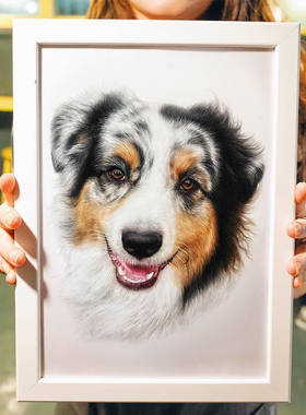 宠物素描彩铅画像定制 手绘猫咪狗狗爱犬动物画 萌宠画画铅笔画