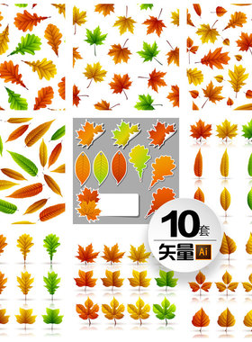 10套ai矢量秋天枫叶树叶单片叶子线描植物元素插画图平面设计素材