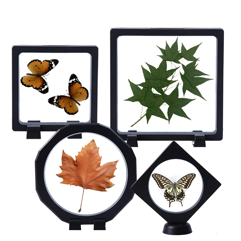 透明植物树叶标本架动物昆虫标本框蝴蝶标本相框桌面立体画裱框
