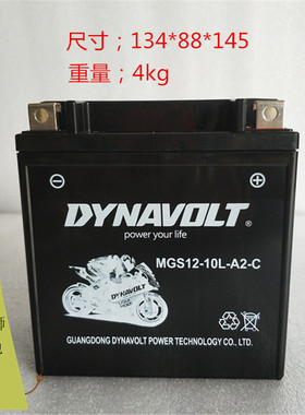 猛狮摩托车电瓶12v10L-A2望江GN250三轮雅马哈XV250通用胶体电池