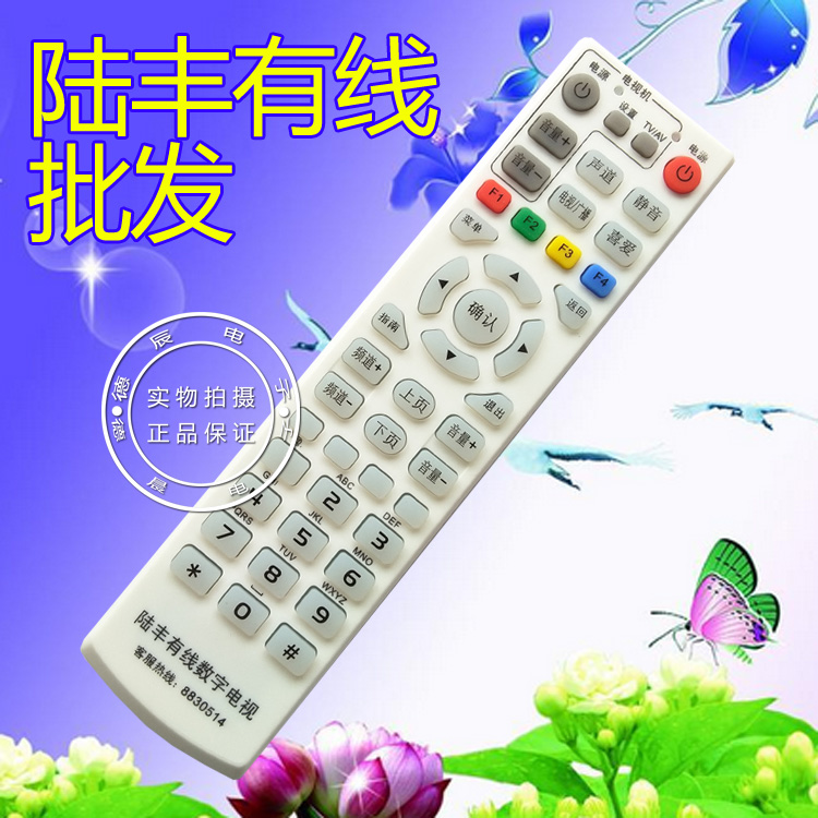 广东陆丰碣石镇数字电视有线原装通用万能机顶盒遥控板遥控器批发