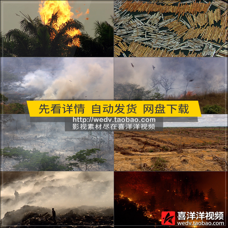 C184森林火灾乱砍滥伐沙漠垃圾焚烧环境污染环保高清实拍视频素材