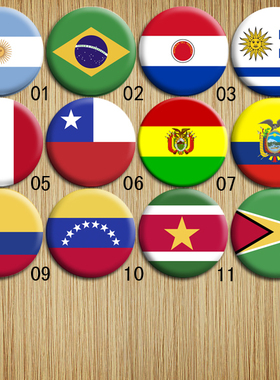 南美洲国家国旗徽章 阿根廷巴西智利乌拉圭巴拉圭秘鲁厄瓜多尔等