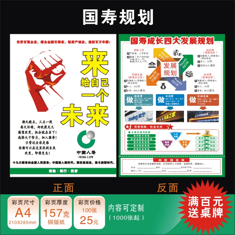 中国人寿保险宣传单彩页国寿规划