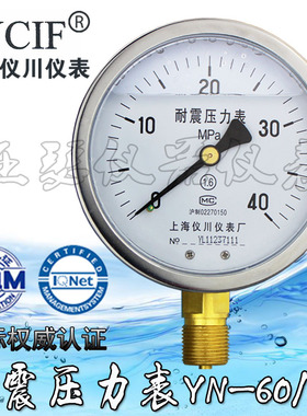 耐震压力表 YN60/100 油压水压气压液压抗震表 0-1/1.6/2.5/40mpa