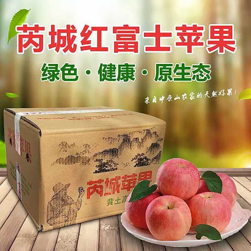 正宗芮城苹果水果当季新鲜红富士整箱10斤包邮山西运城特产吃的