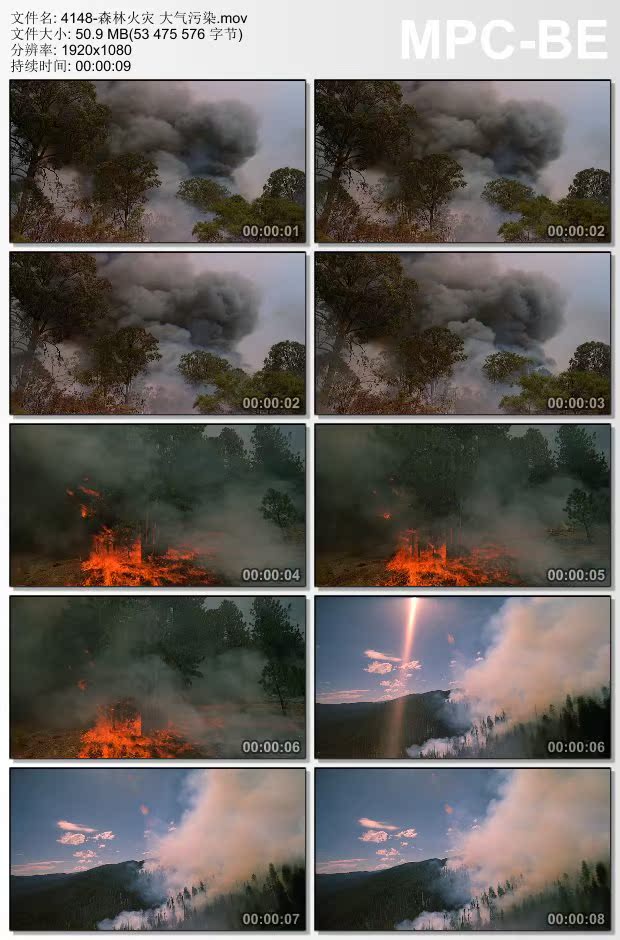 森林火灾大气污染 实拍视频素材