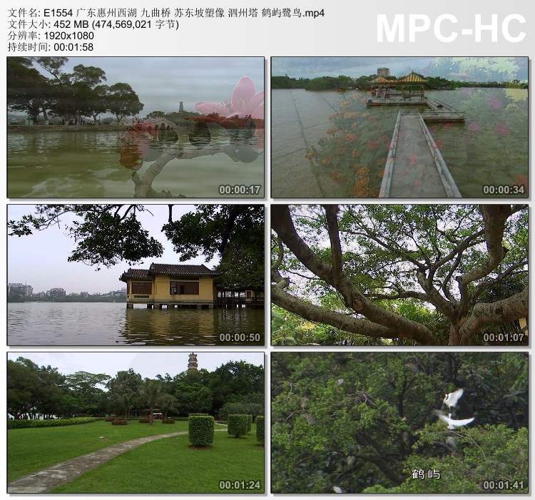 广东惠州西湖九曲桥视频 苏东坡塑像泗州塔鹤屿鹭鸟 实拍视频素材