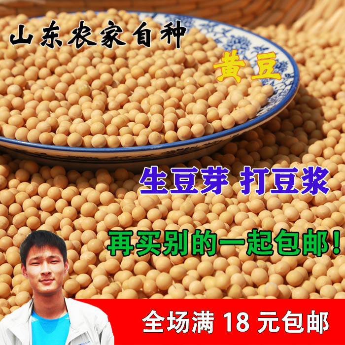黄豆农家自产小黄豆无污染可发黄豆芽发芽黄豆种子打豆汁包邮250g