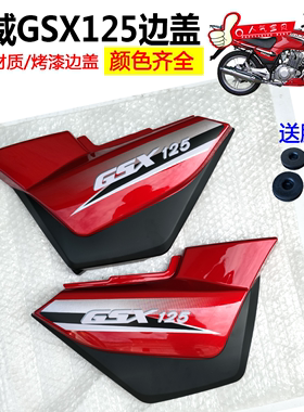 适用轻骑摩托车QS125-3A L B骏威GSX125护板边盖 电池盖 侧盖包邮