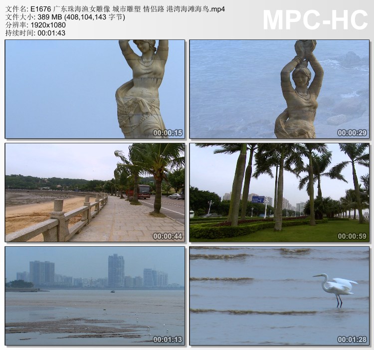 广东珠海渔女雕像 市雕塑 情侣路 港湾海滩海鸟 高清实拍视频素材