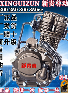隆鑫新贵尊原厂正品水冷200 250 300 350cc摩托车三轮车发动机